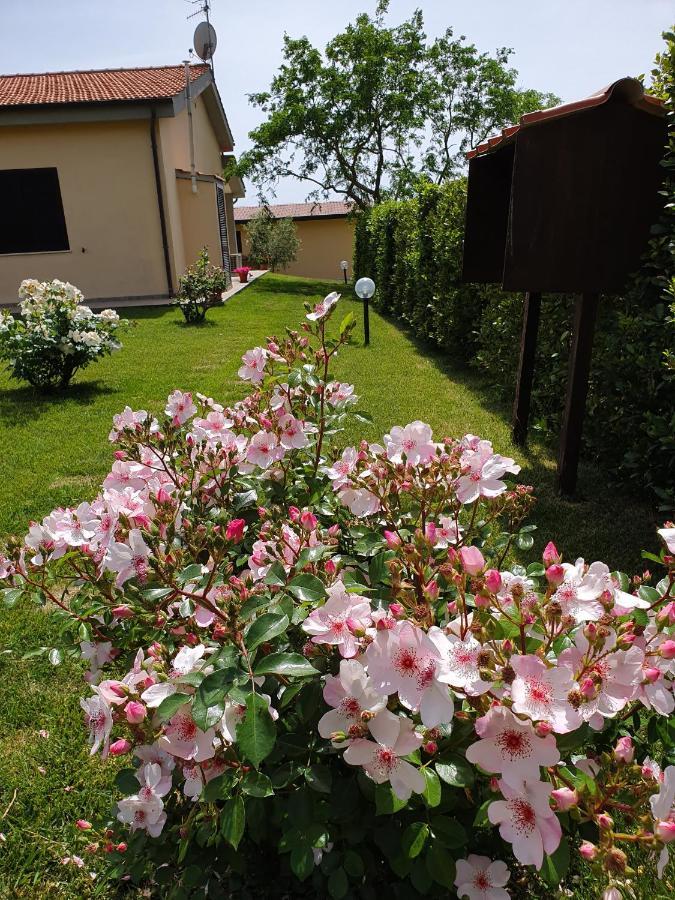 Agriturismo Severini Fonteblanda Buitenkant foto
